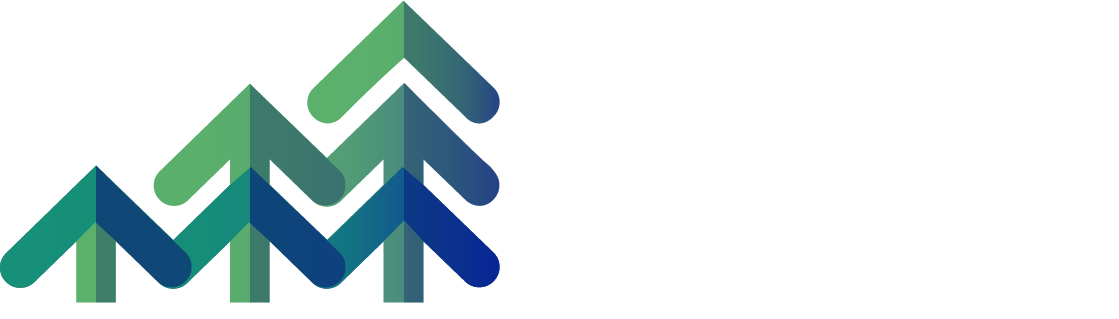 13.png